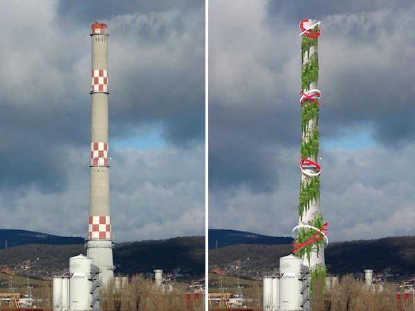 Városi zöldfal