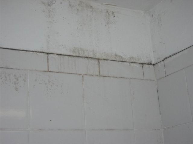 kivitelezes_felujitas_penesz