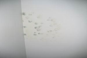 kivitelezes_felujitas_penesz