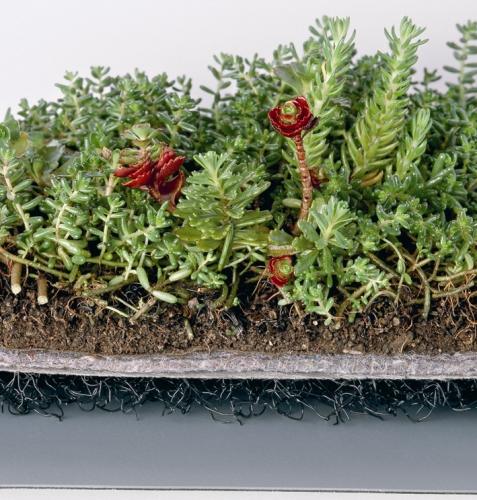 kivitelezes_szigeteles