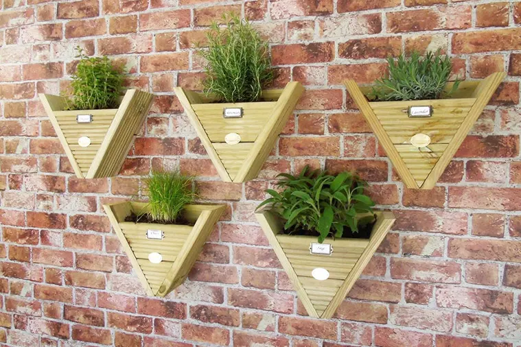 Remek ötlet a falra rögzíthető, kaspókba ültett füszernövények