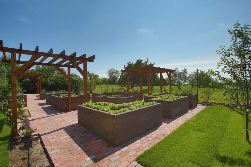 Akár egyetlen nap alatt összeszerelhetjük és bevethetjük mini kertünket