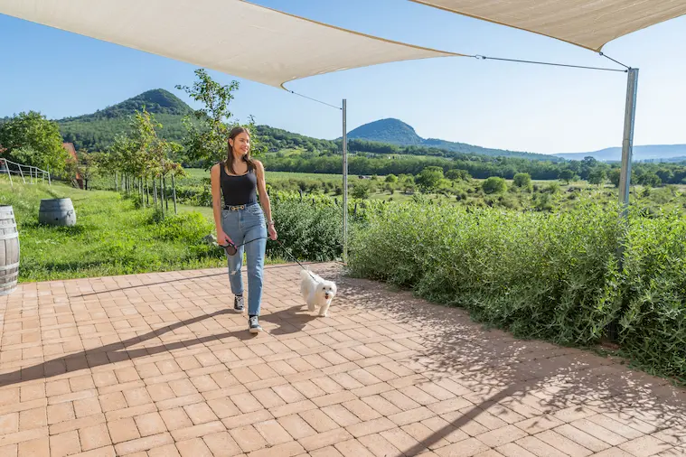 Leier kerti burkolat