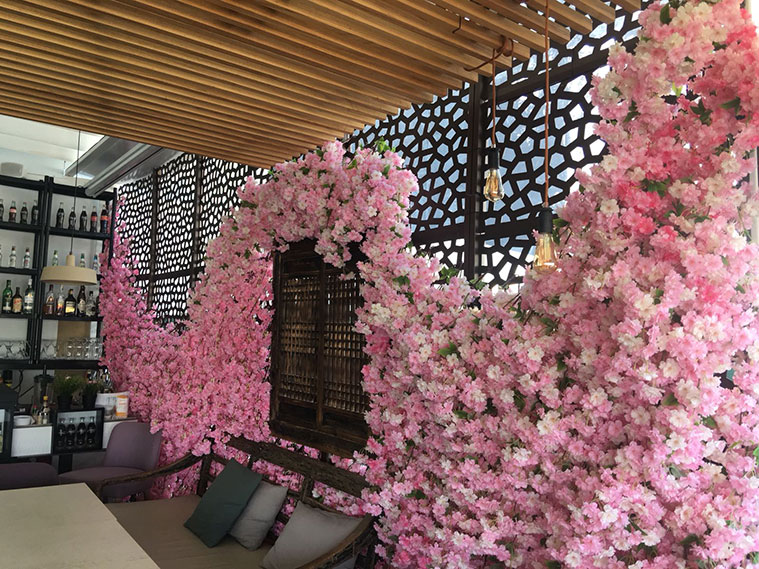 Nortene t&eacute;relv&aacute;laszt&oacute;