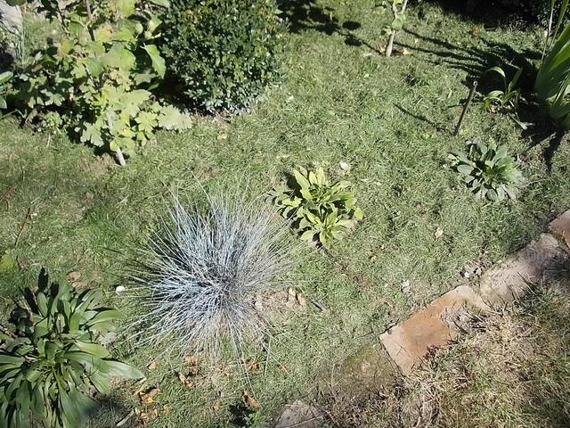 Az év környezetbarát kertje 2012