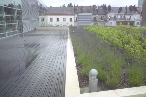 Ismerkedés a zöldtetőkkel