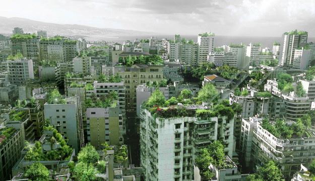 Fák a háztetőkön és a teraszokon Bejrútban