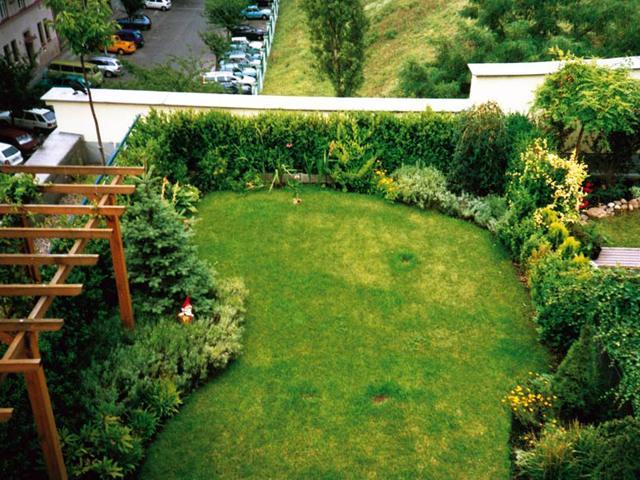 tetőkert zöldtető