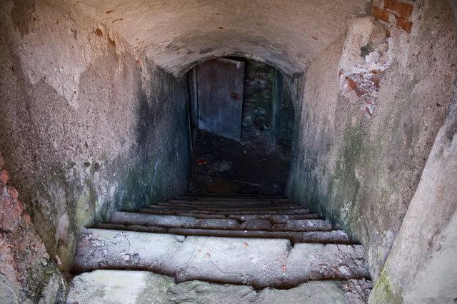 Felújító, szárító vakolatok a falak védelmére Felújító, szárító vakolatok a falak védelmére