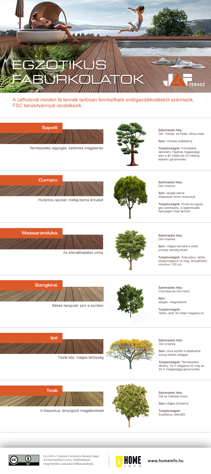 20140526 jaf faterasz infografika