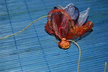 Csináld magad: tavaszi virágok saját kezűleg