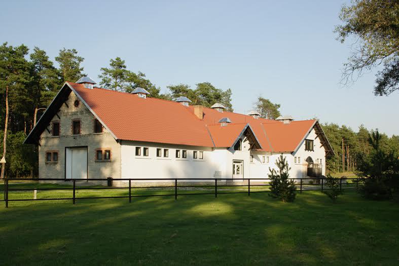 tetofedes cserepes lemezzel5