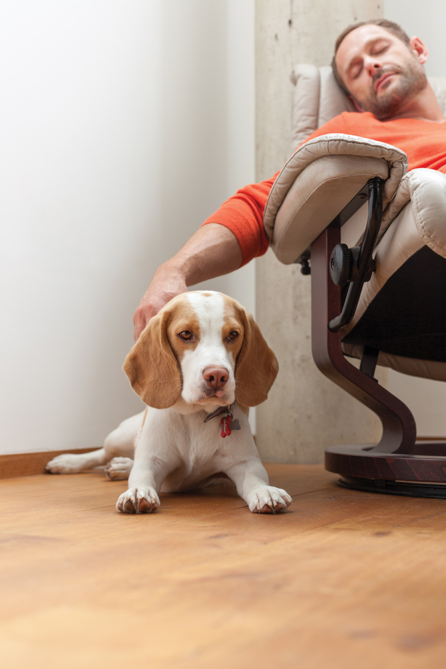 honeywell energiatakar&eacute;koss&aacute;g