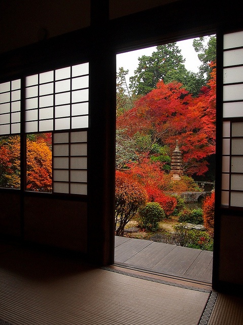 Japán kert csodák  intro_0