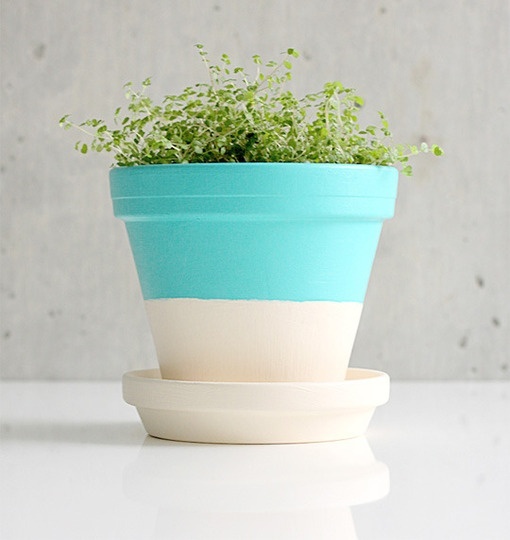 Festett cserepek intro_12