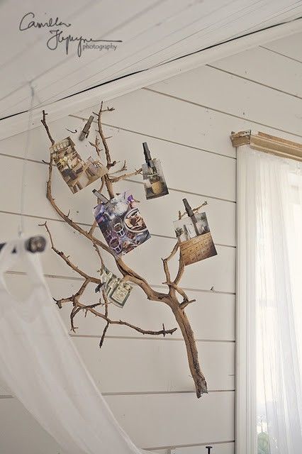 Faágak a házban intro_5